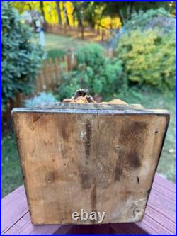 18thC Antique Continental Carved Wood Statue Figure w Wind Instrument, Bohemian