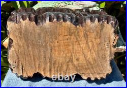 21 Vintage Carved Wood Lucky Koi Fish Statue 18 Lb Large Tropical Sculpture