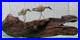 60s SANDPIPER driftwood wall sculpture vtg bird myrtle wood seattle beach cabin