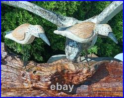 60s SANDPIPER driftwood wall sculpture vtg bird myrtle wood seattle beach cabin