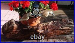 60s SANDPIPER driftwood wall sculpture vtg bird myrtle wood seattle beach cabin