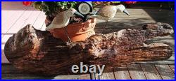 60s SANDPIPER driftwood wall sculpture vtg bird myrtle wood seattle beach cabin