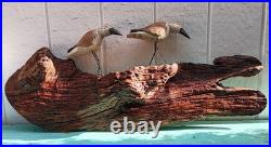 60s SANDPIPER driftwood wall sculpture vtg bird myrtle wood seattle beach cabin
