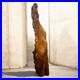 Amazing 51 Free Standing Vintage Driftwood Polished Natural Wood Sculpture