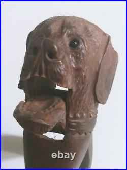 Antique Black Forest DOG Wooden NUTCRACKER Vintage Carving