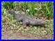 Antique/Vintage Life Size Pet KOMODO DRAGON Hand Carved Wooden Sculpture
