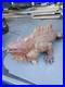 Antique Wood Carving Carved Iguana Large Very Intricate