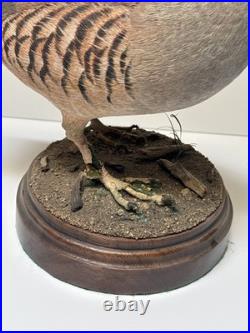 Bird Wood Sculpture Painting John R Fairfield California Famous Vintage 1988