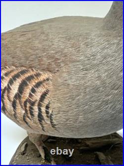Bird Wood Sculpture Painting John R Fairfield California Famous Vintage 1988