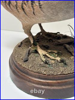 Bird Wood Sculpture Painting John R Fairfield California Famous Vintage 1988