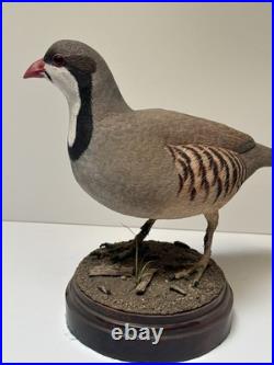 Bird Wood Sculpture Painting John R Fairfield California Famous Vintage 1988