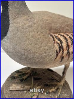 Bird Wood Sculpture Painting John R Fairfield California Famous Vintage 1988