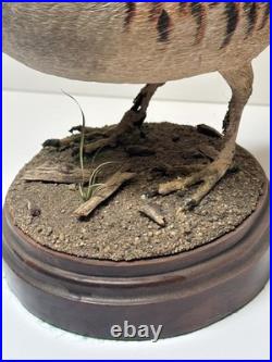 Bird Wood Sculpture Painting John R Fairfield California Famous Vintage 1988