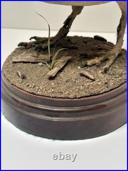 Bird Wood Sculpture Painting John R Fairfield California Famous Vintage 1988