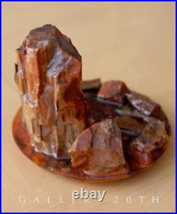 Cool! MID Century Modern Petrified Wood Sculpture! Vtg 50s Orig. Ariz Rock Art