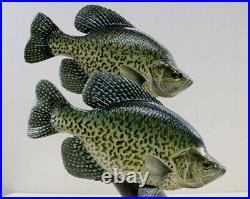 Crappie Wood Carving Fish By Bob Berry Signed / Dated Taxidermy Fish Display