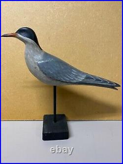 Excellent Common Turn Shorebird Carving by Dave Rhodes, Signed, with wood Stand