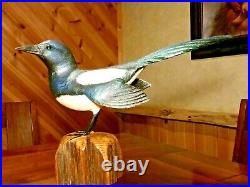 Exquisite MAGPIE Art Wood Bird Carving Sculpture Decoy signed by Casey Edwards