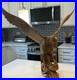 Hand-Carved Wooden Eagle Statue Folk Art Sculpture 17 Tall Carving Vintage