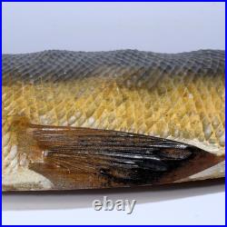 Japanese Vintage Wooden Carving of Salmon Ornate Sculpture WO414