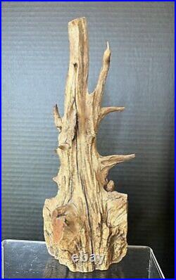 Junior Cobb Signed Wood Carving Folk Art Tree Spirit -Vintage-Arkansas