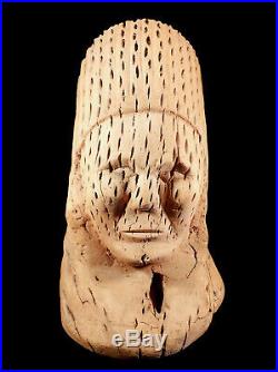 Large Vintage Southwest Cholla Cactus Wood Sculpture Native American Indian Bust