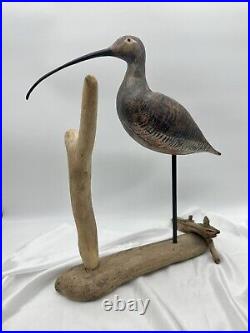 Lrg Vintage Long Billed Curlew Shore Bird HandCarved Sculpture Decoy Signed 18in