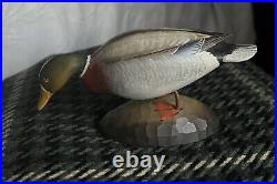 Mallard Male Drake Duck Decoy Wood Mini Carving Genuine Strunk Signed Base