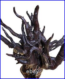 Medusa Gorgona Vintage Dark Brown Handmade Wood Roots Carved Art Figure