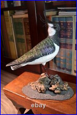 Mike Wood Incredible Decorative Lapwing Shorebird Decoy Bird Carving