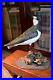 Mike Wood Incredible Decorative Lapwing Shorebird Decoy Bird Carving