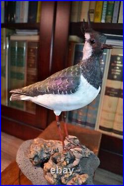 Mike Wood Incredible Decorative Lapwing Shorebird Decoy Bird Carving