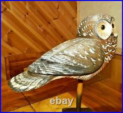 Northern Spotted Owl Art Wood Bird Carving Decoy Carved Signed by Casey Edwards
