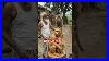 Old Grandpa Carving Monkey Mother And Baby Statue Amazing Wooden Art Masterpiece Woodmonkey