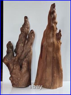 Pair Vintage Natural Wood Sculptures Cypress Knee Burl Look Rustic Cabin Decor