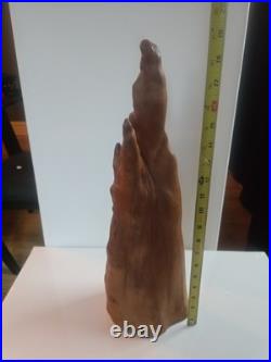 Pair Vintage Natural Wood Sculptures Cypress Knee Burl Look Rustic Cabin Decor