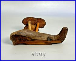 ROGER SLOAN Hand Carved Folk Art Wooden MUSHROOMS Driftwood Branch VTG SIGNED