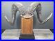 Ram Horn Sculpture Big Heavy Horn Statue On Wooden Base Vintage Western Decor