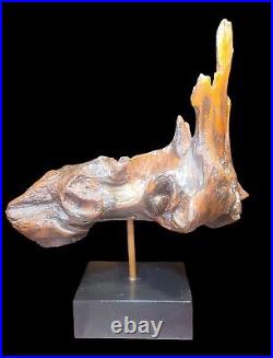 Rare Vintage Abstract Natural Wood Sculpture Driftwood Root Wood MCM Decor Art