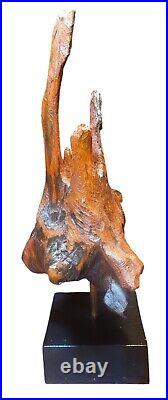 Rare Vintage Abstract Natural Wood Sculpture Driftwood Root Wood MCM Decor Art