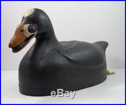 SCOTER With MUSSEL IN MOUTH DOWNEAST STYLE WOOD CARVING DECOY BY FRANK FINNEY