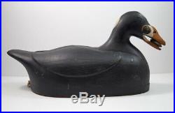SCOTER With MUSSEL IN MOUTH DOWNEAST STYLE WOOD CARVING DECOY BY FRANK FINNEY