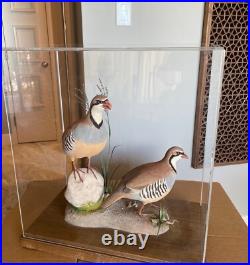 Signed Vintage Perry B PB Holley Hand Carved Wood Pair of Chukar Birds 1979