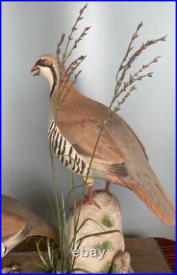 Signed Vintage Perry B PB Holley Hand Carved Wood Pair of Chukar Birds 1979