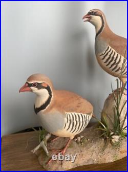 Signed Vintage Perry B PB Holley Hand Carved Wood Pair of Chukar Birds 1979