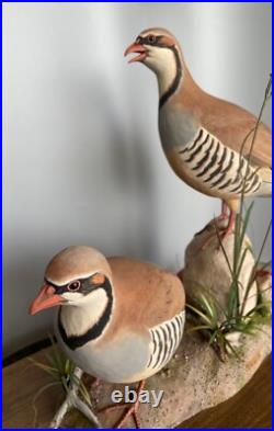 Signed Vintage Perry B PB Holley Hand Carved Wood Pair of Chukar Birds 1979