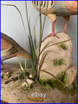 Signed Vintage Perry B PB Holley Hand Carved Wood Pair of Chukar Birds 1979