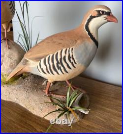 Signed Vintage Perry B PB Holley Hand Carved Wood Pair of Chukar Birds 1979