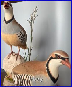 Signed Vintage Perry B PB Holley Hand Carved Wood Pair of Chukar Birds 1979