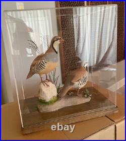 Signed Vintage Perry B PB Holley Hand Carved Wood Pair of Chukar Birds 1979
